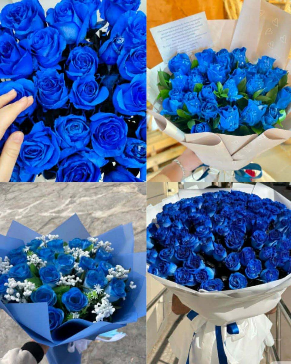 Claudio37478159's tweet photo. @jazzlll https://t.co/JTe0XjVSti