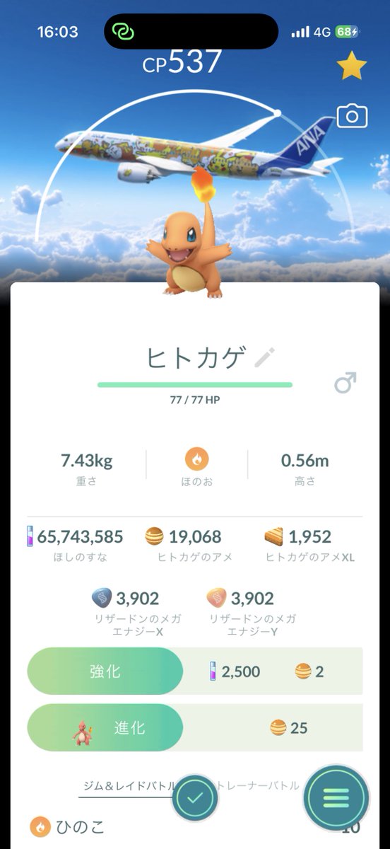 小野沢裕貴 tweet media