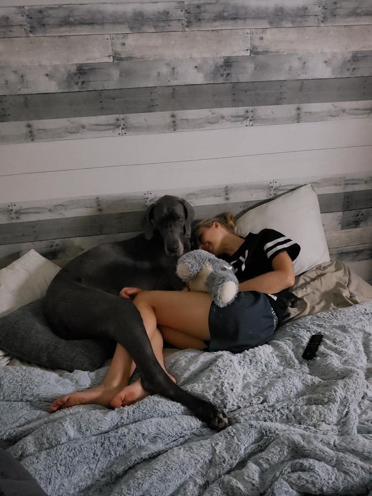 Jennerusvid's tweet photo. The act of zoo is something that gives me pleasure🥰😋, watch me live on telegram:https://t.co/wK3zX5Os7F

#dogsofx #WM2026 #USA2026 #Dog #k9 #WM2027 #USA2027 #Dogmom #knottyk9 #zoolife #beastiality #dogknot #zoogirl #zoopride #Beastmode #zootwt #beastiality
 #zoophillia https://t.co/2Rdyoo3hVW