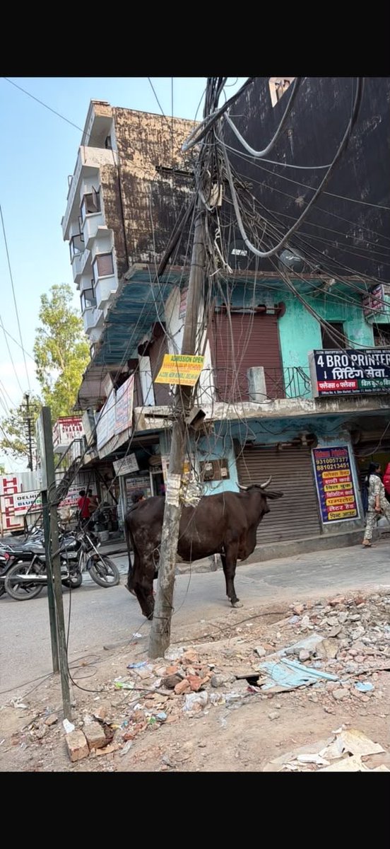 om_jhaa's tweet photo. @noida_authority @UPPCLLKO @PVVNLHQ

Location: Jhundpura, Sector-11, Noida (Near Dharam Villa Guest House)

इस स्थान पर बिजली का खंभा काफी समय से झुका हुआ है और कई तार/केबल अव्यवस्थित तरीके से लटक रहे हैं। यह स्थिति लोगों की सुरक्षा के लिए गंभीर खतरा बन सकती है।

फोटो संलग्न है। https://t.co/aKo2TSF8B6