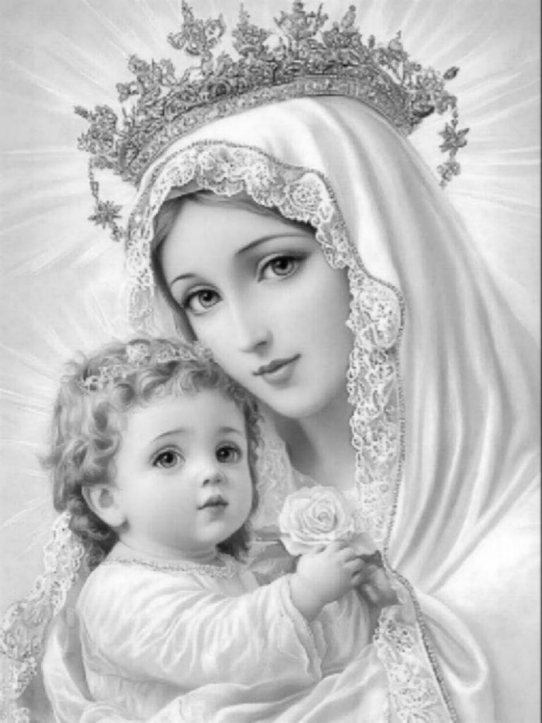 PirateMulwana's tweet photo. Hail Mary, Full of Grace, The Lord is with thee. Blessed art thou amongst all women, &amp; blessed is the fruit of thy womb, Jesus. Holy Mary, Mother of God, pray for us sinners now, and at the hour of our death. Amen.🙏🏾

Have a lovely day 😊 https://t.co/x4xvgmxtvM