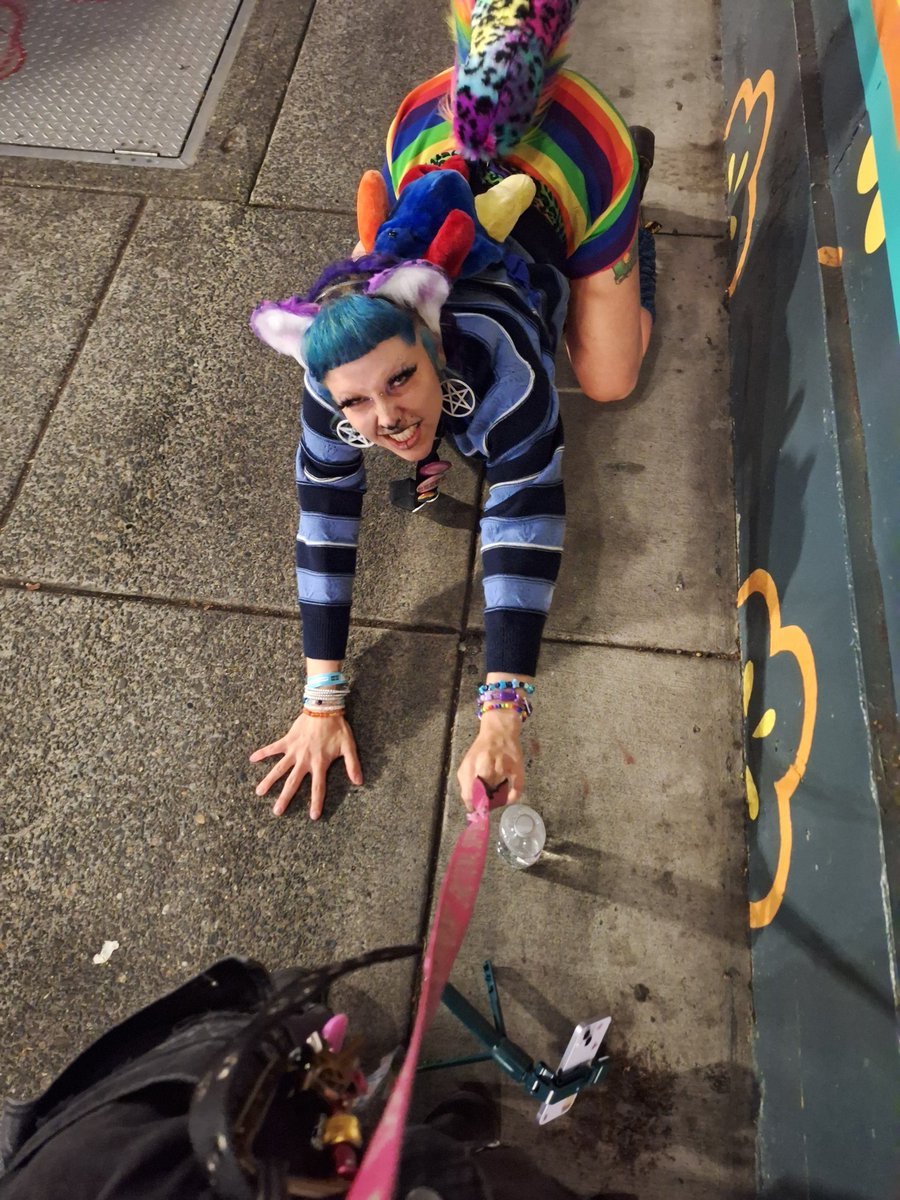 yeenmeat's tweet photo. should me n my dogfriend make content together? https://t.co/ocgAvIWtNw