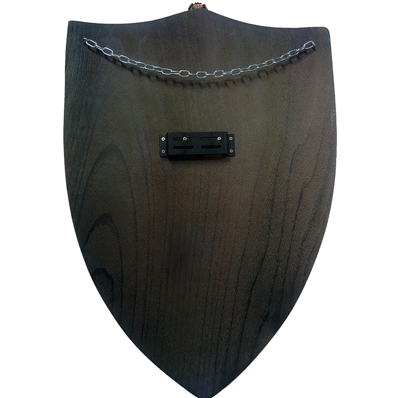 boutique_epees's tweet photo. ✨Avis de: Dave H. Bouclier médiéval de Tolède (70 x 47 cm) - 🛡️✨ Les avis qui nous font briller ! 🙌 https://t.co/k2B9DV0JX7