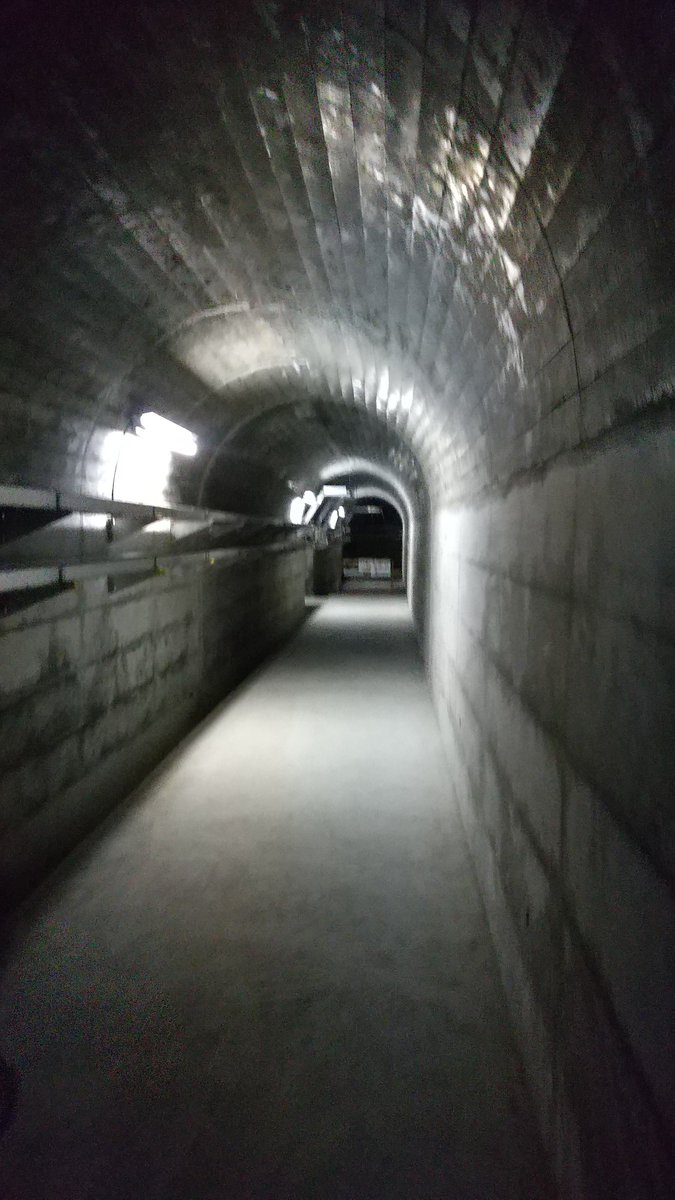 risette3435's tweet photo. 東荒川ダム見学会に来ました😊
今日はいつもより気温が低く、監査廊の中が一段と寒かったです🎵
今回は特別に、利水放流管から放流していますとのことでした。
確かに東荒川ダムが吐いている様子はあまり見られないかも☺️
#東荒川ダム #栃木県 #森湖 https://t.co/2Kujc8a2v4