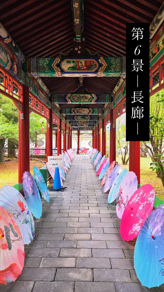 enchoen4's tweet photo. 今朝のハスの様子です♪
只今4、5輪ほど花を咲かせています。
鮮やかなピンク色がとても綺麗です🤩

そして現在、🌟期間限定🌟で
第6景 長廊（ちょうろう）に中国傘を展示中です⛱️

一部通行止めの為、制限もありますが…
ズラっと並んだ中国傘エリアもぜひご覧ください😊

#夏休み　#鳥取県イベント https://t.co/KuU7uVco1w