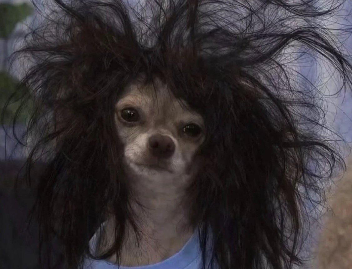 cyberfeeels's tweet photo. I swear sleep hits different when you're not supposed to be sleeping https://t.co/TUwK0OMWkV