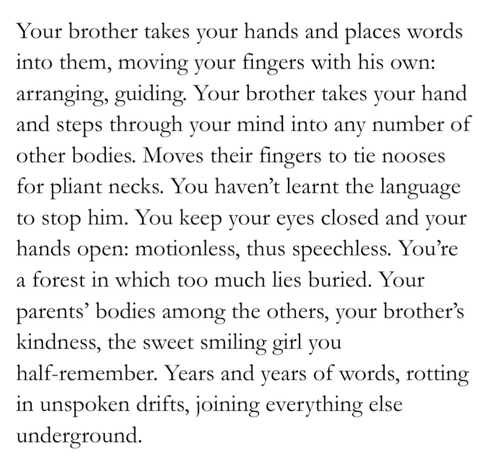 shiguangluren's tweet photo. day 5 - (un)shared language / woods | #litwinsweek2026 https://t.co/s6rS1FaMfJ