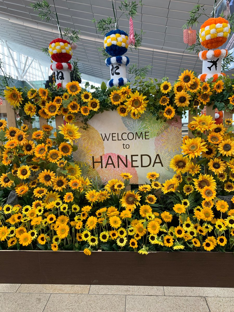 Mi158's tweet photo. 羽田空港着きました。テンション上がる https://t.co/Ywzy1JP9nz