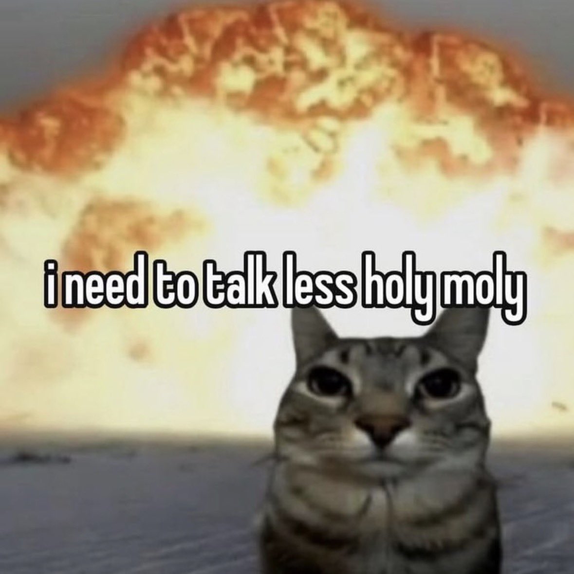 literallymecats's tweet photo. https://t.co/s6TF0HQ9G6