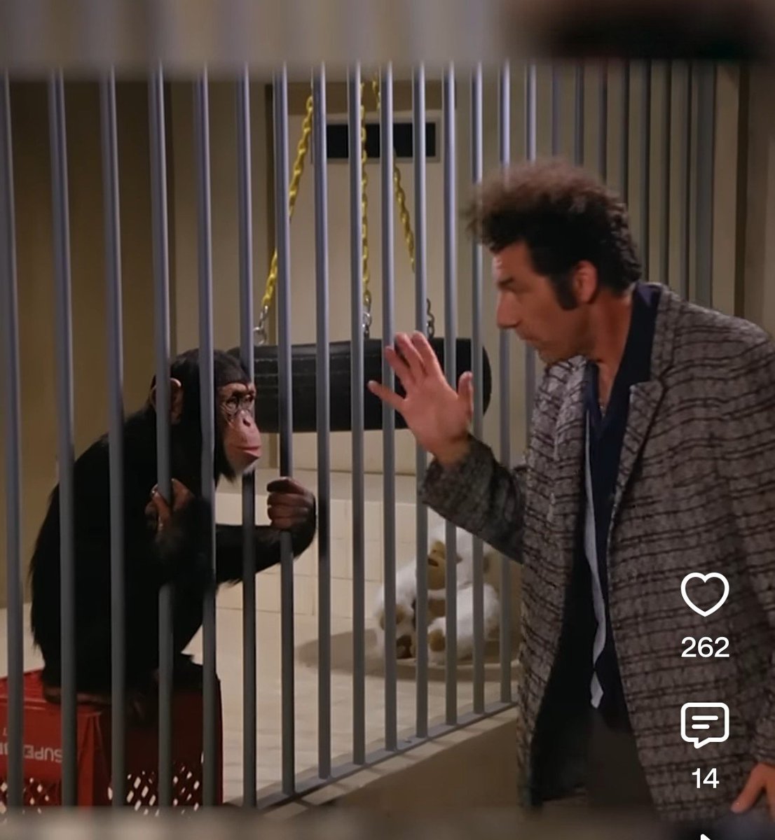 connectavi's tweet photo. Michael apologised. https://t.co/G8zlFYWEOE