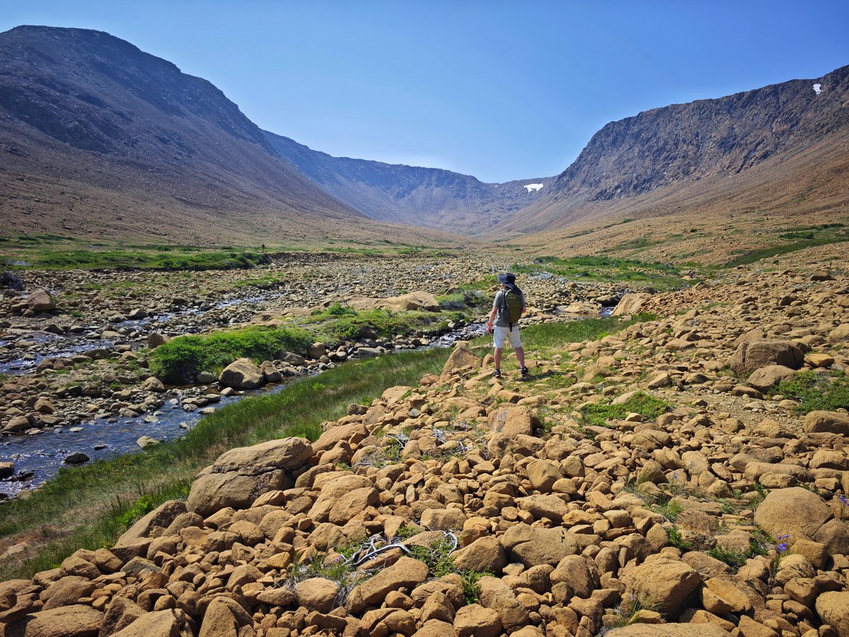 dereklee0329's tweet photo. #Newfoundland Day 3 - Gros Morne徒步
​Tableland是全球极少数裸露地球地幔的地点。4.5亿年前远古板块剧烈碰撞，把深埋地下的地幔橄榄岩顶出地表，岩石被风化呈现橘红、赭土色，土质重金属含量高，植被极度稀少，地貌酷似火星，反差感极强。四周是茂密针叶林，唯独这里寸草难生。带着娃没法走成完整环 https://t.co/OIgLN6F1Eu