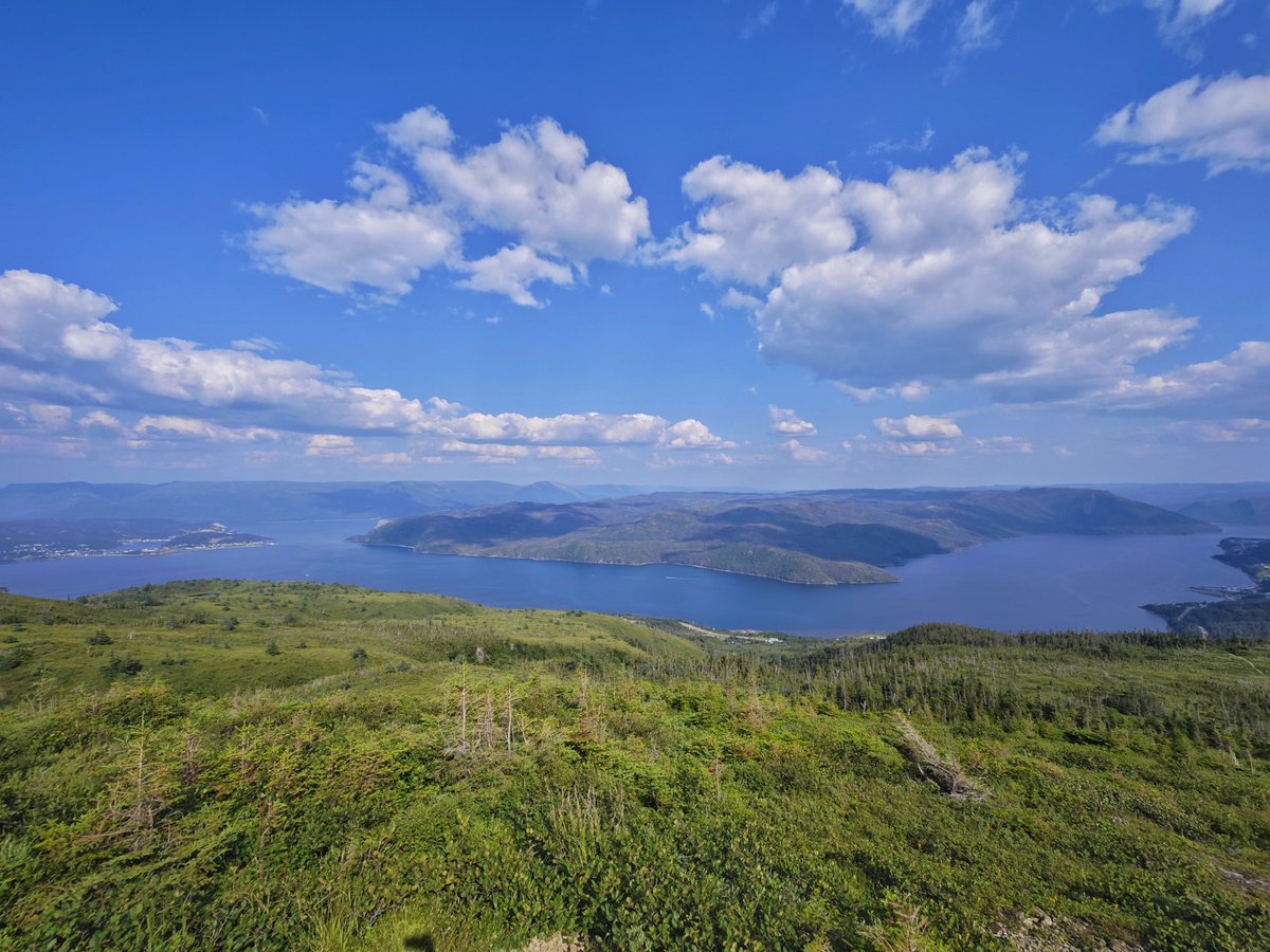 dereklee0329's tweet photo. #Newfoundland Day 3 - Gros Morne徒步
​Tableland是全球极少数裸露地球地幔的地点。4.5亿年前远古板块剧烈碰撞，把深埋地下的地幔橄榄岩顶出地表，岩石被风化呈现橘红、赭土色，土质重金属含量高，植被极度稀少，地貌酷似火星，反差感极强。四周是茂密针叶林，唯独这里寸草难生。带着娃没法走成完整环 https://t.co/OIgLN6F1Eu