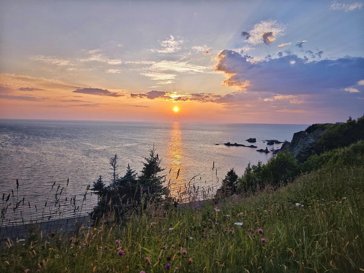 dereklee0329's tweet photo. #Newfoundland Day 3 - Gros Morne徒步
​Tableland是全球极少数裸露地球地幔的地点。4.5亿年前远古板块剧烈碰撞，把深埋地下的地幔橄榄岩顶出地表，岩石被风化呈现橘红、赭土色，土质重金属含量高，植被极度稀少，地貌酷似火星，反差感极强。四周是茂密针叶林，唯独这里寸草难生。带着娃没法走成完整环 https://t.co/OIgLN6F1Eu