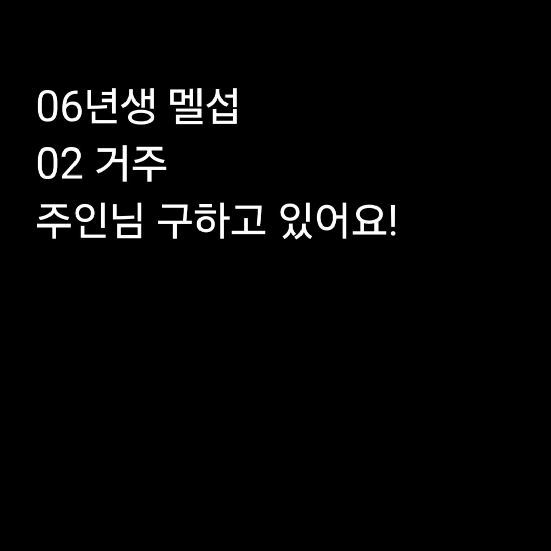 rootrootwo's tweet photo. 안녕하세요. 06년생 멜섭입니다!
펨돔 주인님 구하고 있어요!
#멜섭 #펨돔 #구인 #구인글 #맘눌뎀 https://t.co/MJU9qFxlIQ