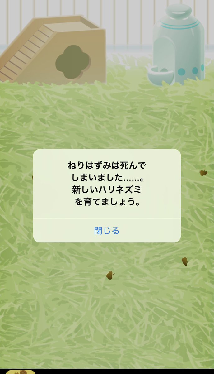 ruha63787's tweet photo. 1年半くらい育ててたのに( ; ; ) https://t.co/b5TUpZQWIR