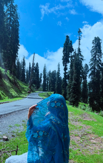 NoorYashma's tweet photo. Beautiful weather. Blooming streets. 🌸🍃✨
Nature always knows how to make every moment feel magical. 💚
#Islamabad #BloomingStreets #BeautifulWeather #NatureLovers #MargallaHills #Pakistan #NaturePhotography #SummerVibes #ExplorePakistan #PeacefulMoments https://t.co/K30m3rd8C1