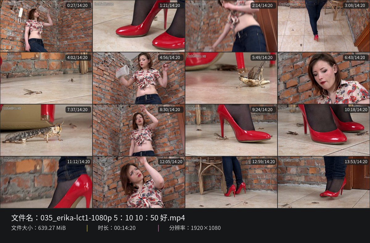 tor4fun_JIUMO's tweet photo. 完整视频可免费加主页简介飞机群观看

#FootFetish #Femdom #Trampling #FootDomination #CBT #HighHeels #HeelTrampling https://t.co/CBvIqh2PlH