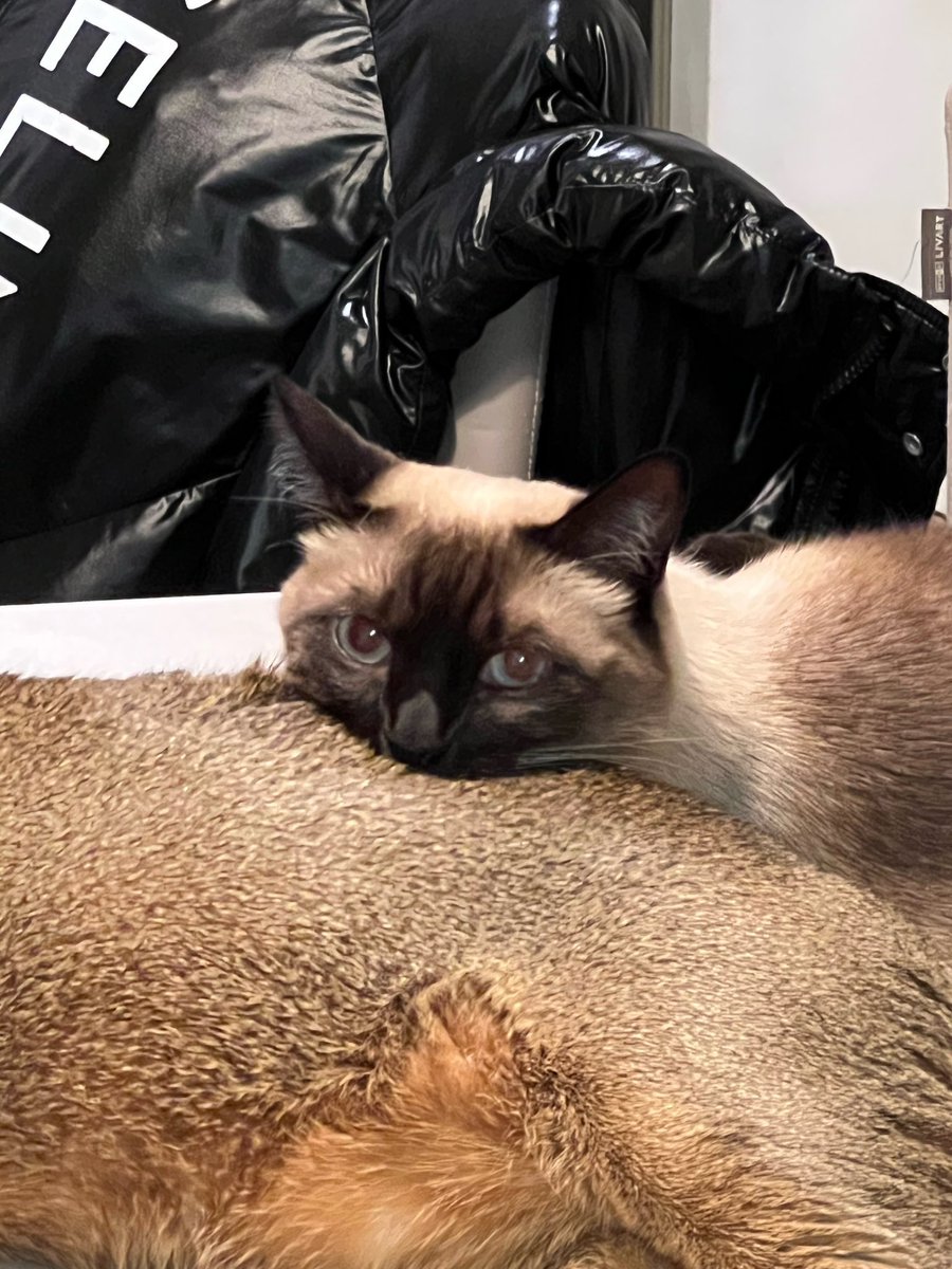 TenistenW's tweet photo. ที่ลูอีนอนพิงคือหลังลีออนหรอ แผ่นหลังของเลิฟลี่จริงๆ 😹😹😹😹😹

#TEN_ถ้าไม่คิดอย่าทำให้คิด https://t.co/7swyHfJJHd
