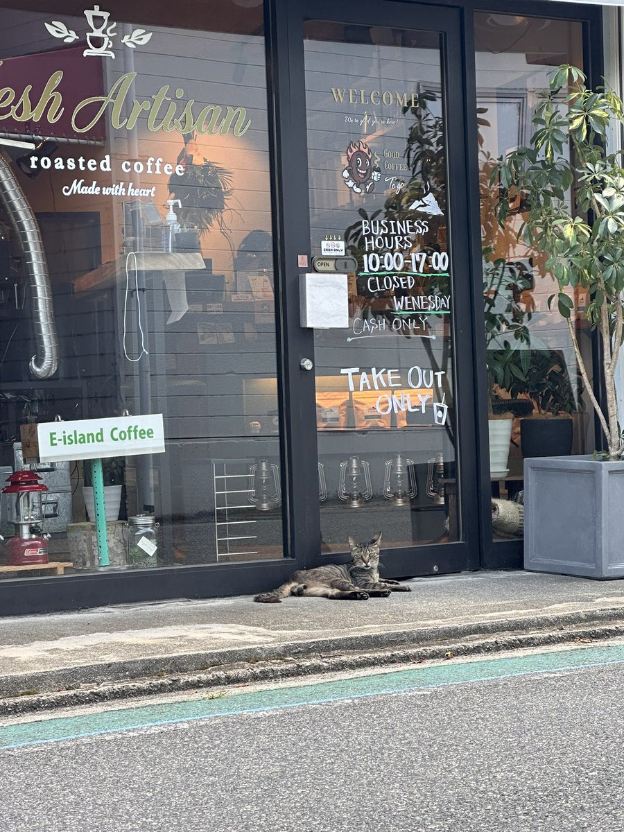 EtoBlog's tweet photo. 店番にゃー🐈✨ https://t.co/r8hfpnd7Dk
