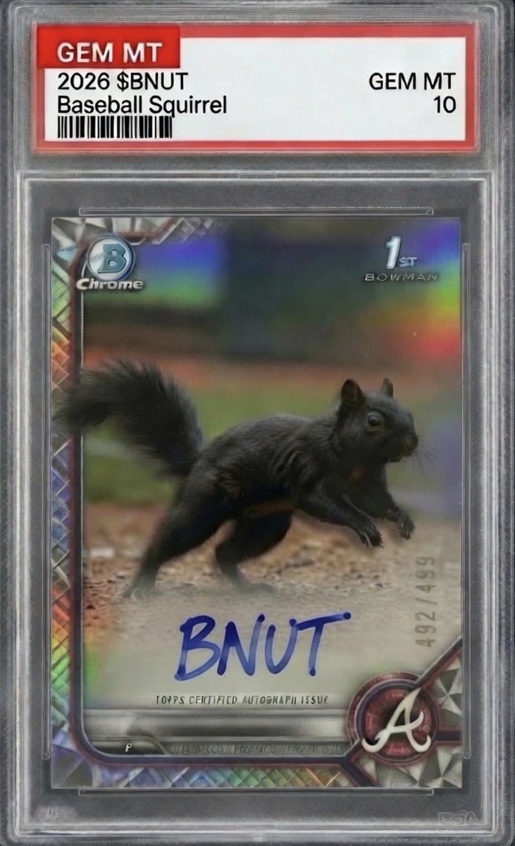 awesomedave99's tweet photo. in PSA10 version

“GEM” https://t.co/STDfSJgET5