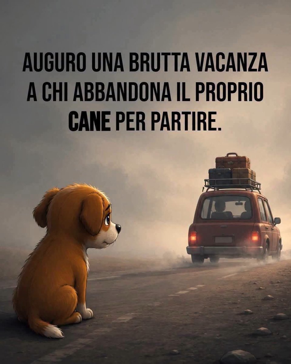 pattyfra1's tweet photo. Ma proprio brutta😡
Una di quelle che non si dimenticano in tutta la vita! 

#noallabbandono https://t.co/qXtRrFLImU