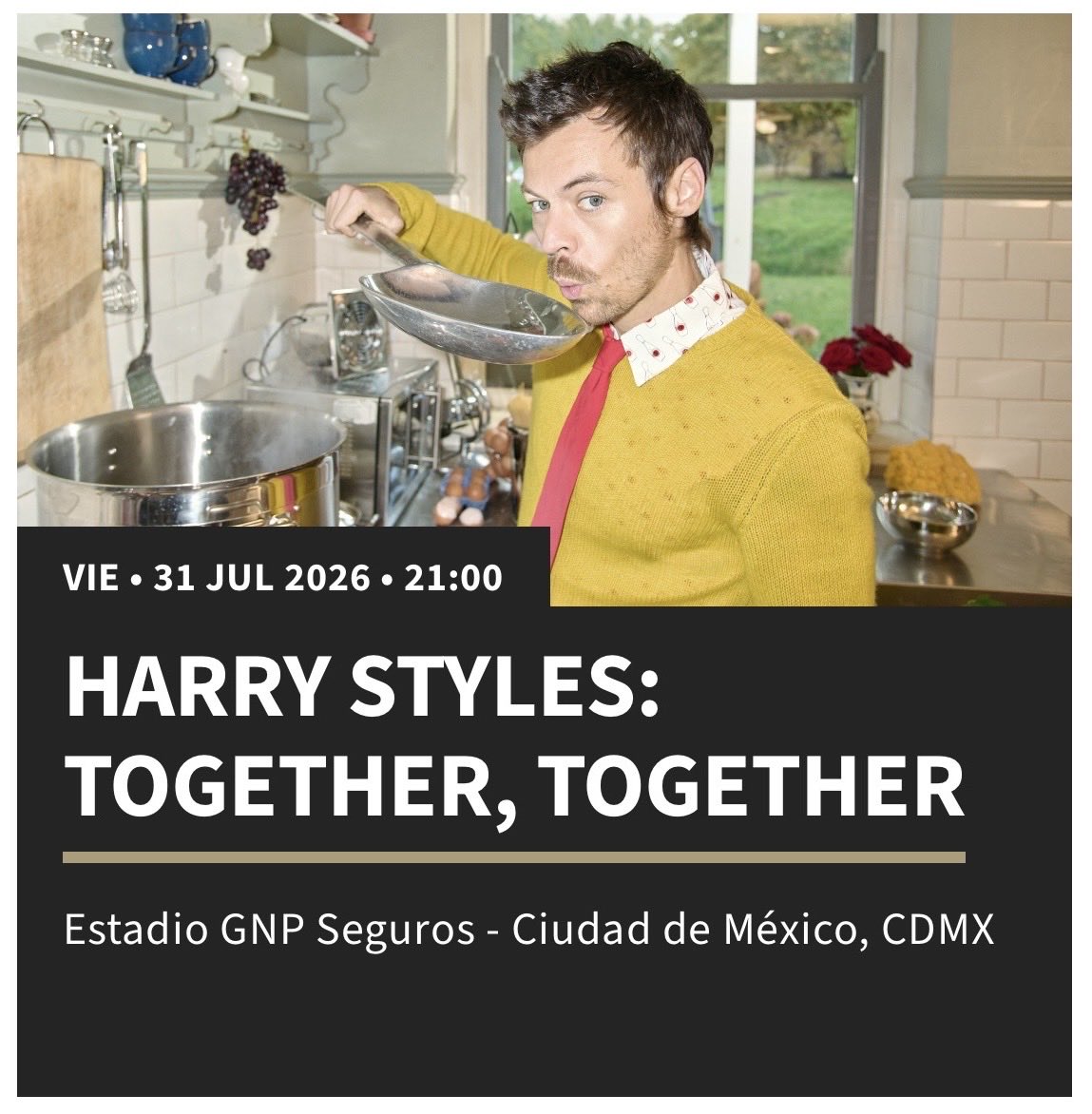 ximenarezaa's tweet photo. @hstbrasil VENDO 1 BOLETO PARA HARRY STYLES 
ESTE 31 DE JULIO 
Zona General C 
Super mega híper barato porque me urge venderlo 
Plisssss corran la voz 🗣️🗣️🗣️ https://t.co/8N2GXMqmMO