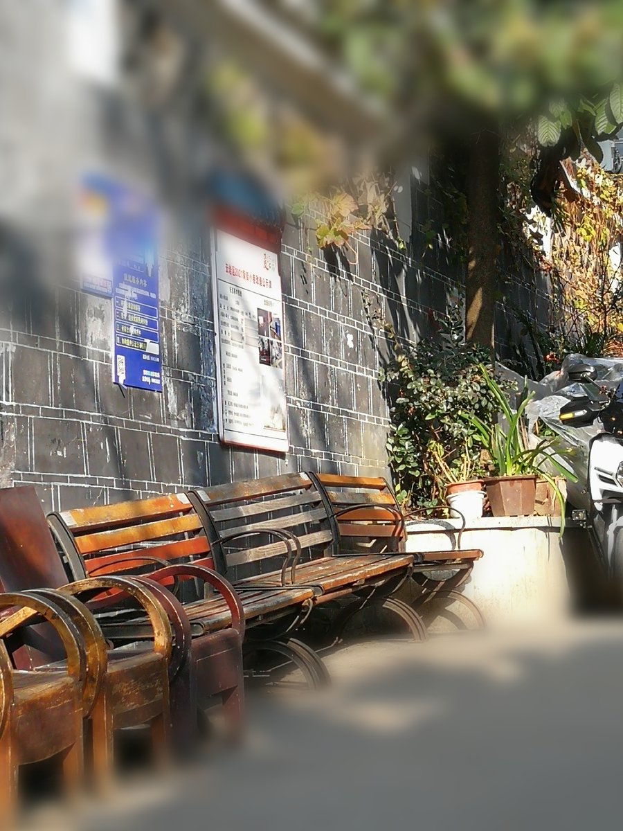 Termestel1's tweet photo. [City streets never fail to surprise—this random corner was pure magic today ]， https://t.co/PqMAxpMPua