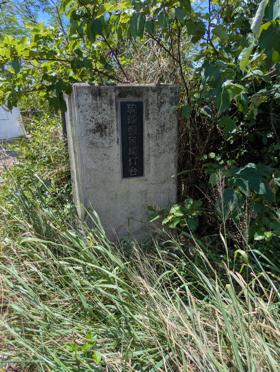 wingzerocastam1's tweet photo. 🐕荒れ放題・・・そして干潮は困りますw😟☆彡 https://t.co/Eelcbhp9jZ