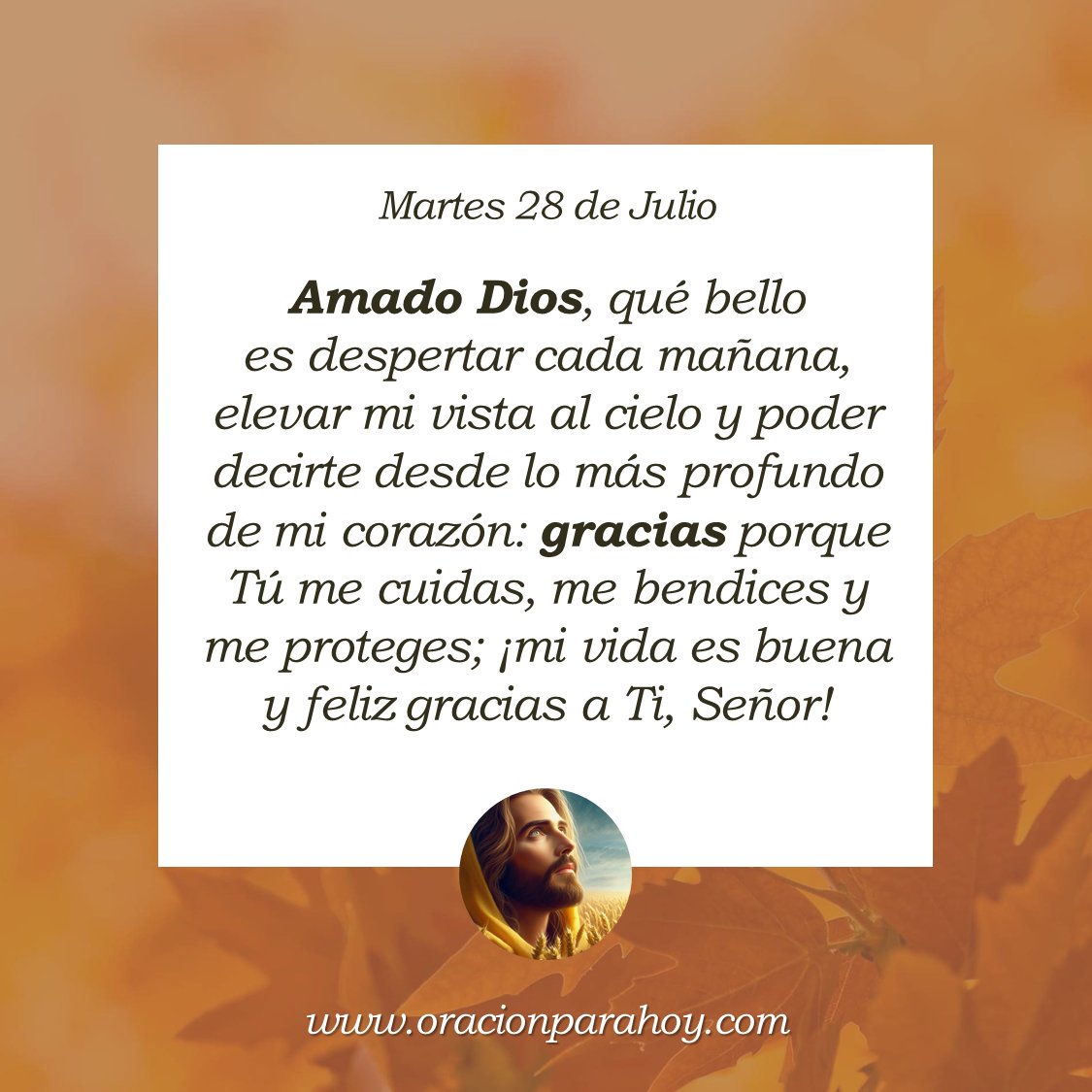 OracionParaHoy's tweet photo. Oración para hoy 28 de julio: https://t.co/0ZtvtvPjoH ✨ https://t.co/MEr1OK5Bvg