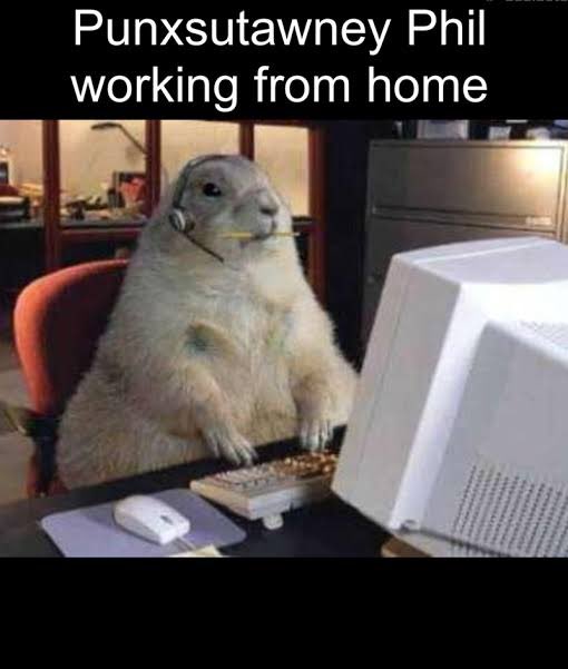 Humanevolvd's tweet photo. This is the next animal runner 

So I did some research after last dev deployed and obviously it’s Punxsutawney $Phil the famous ground hog for predicting weather. 

What’s special is that almost everyone in retail uses his memes. 
I forgot how HUGE Phil is.  There is still so many Reddit &  TikTok today 

Also he is over 140 years old 😭

https://t.co/a5qAij0Lqz