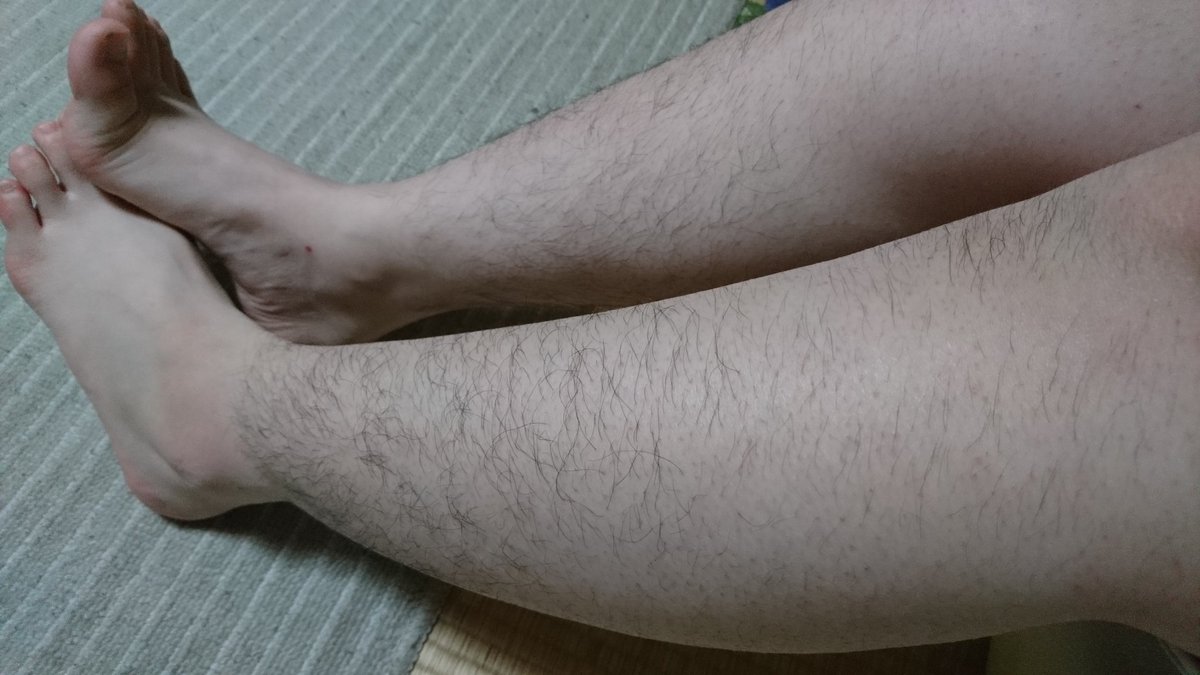 yokillme's tweet photo. これ私の足なんだけど、ヒール履かない、スネ毛剃らない女の足はこんなもんだから、そうじゃない足を見たらありがたがって拝むといいよ。くだらんこと言う馬鹿にはこの画像を見せてあげてね。ちなみにズボンの上から脛を撫でると、毛が貫通してチクチクするよ。 https://t.co/TAQZw9ixyO