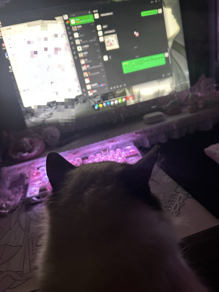 Bella1016520's tweet photo. https://t.co/CQkVvt63iC