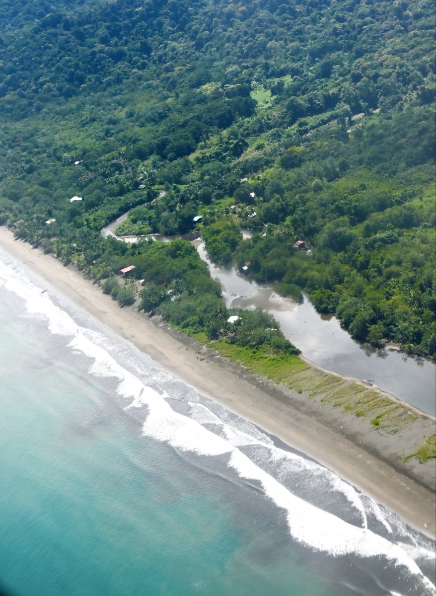 RicaurteIndira's tweet photo. Lo que nace de los mares y los ríos. Bahía Solano, Chocó. https://t.co/YnK9J8NXSE