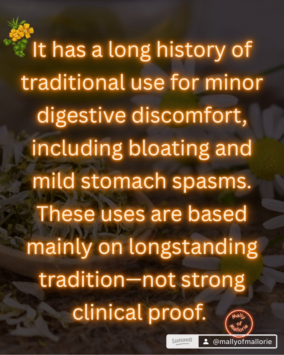MallyofMallorie's tweet photo. Chamomile 🌼 Gentle Ritual, Honest Evidence 
#herbs https://t.co/76f13W6dLr