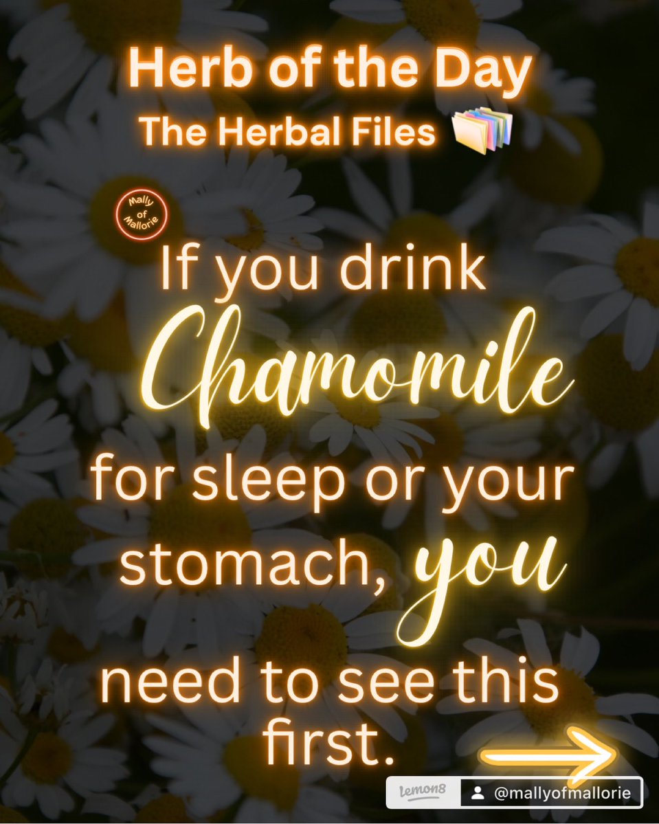 MallyofMallorie's tweet photo. Chamomile 🌼 Gentle Ritual, Honest Evidence 
#herbs https://t.co/76f13W6dLr