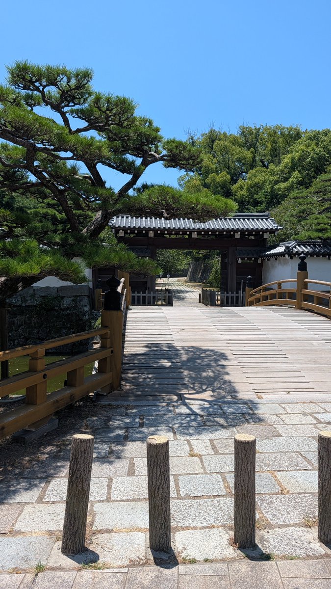 Japonismo's tweet photo. Al final hemos visitado el castillo de Wakayama, que aunque reconstruido es bonito y está en la lista de los mejores castillos como contamos aquí:
https://t.co/Hi0ewlBdcE https://t.co/wPOcgNMwsz