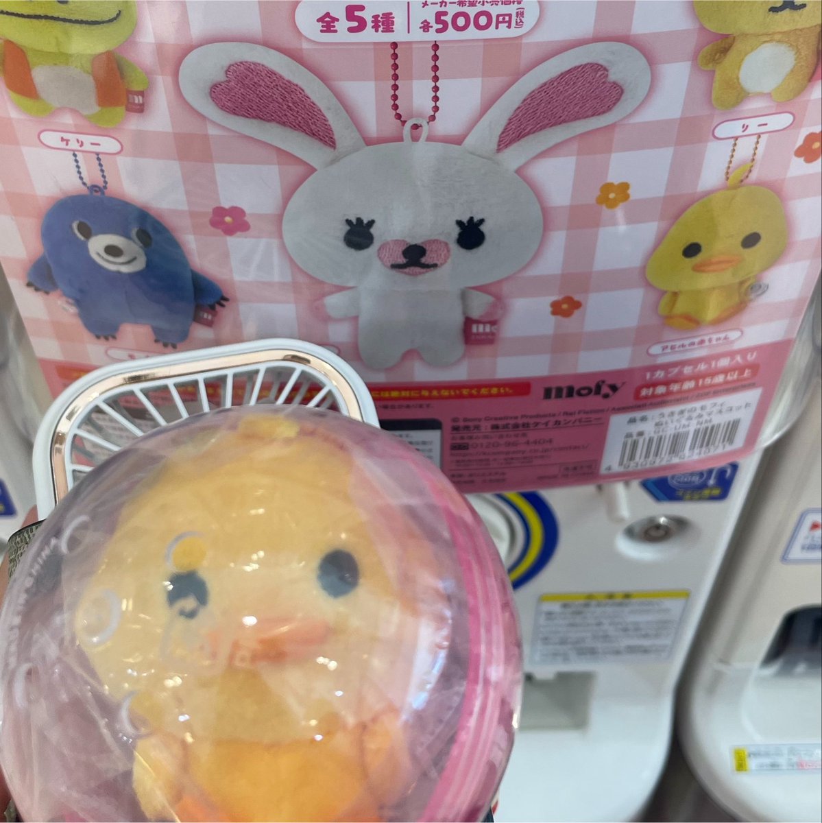 _imowokuu's tweet photo. 自力でゲットできた〜🥹🥹連れ回す✨️ https://t.co/IVajln2hdf