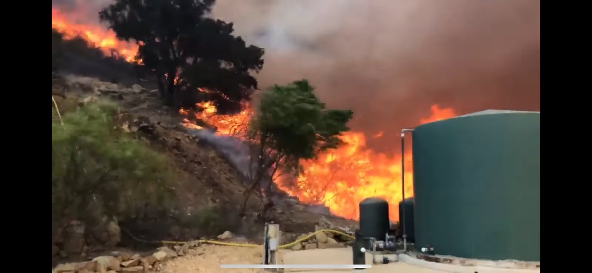 MagicDragonWolf's tweet photo. Hi friends! Mama here. Please keep us in your thoughts. We’ve had 3 wildfires in the last 24 hours here. 1st is at 225 acres and barely 20% containment which just happened tonight. The 2nd had evacuations 3 miles away and we were next, but we got lucky!🥺3rd controlled. #dogsofx https://t.co/21aUsORbah