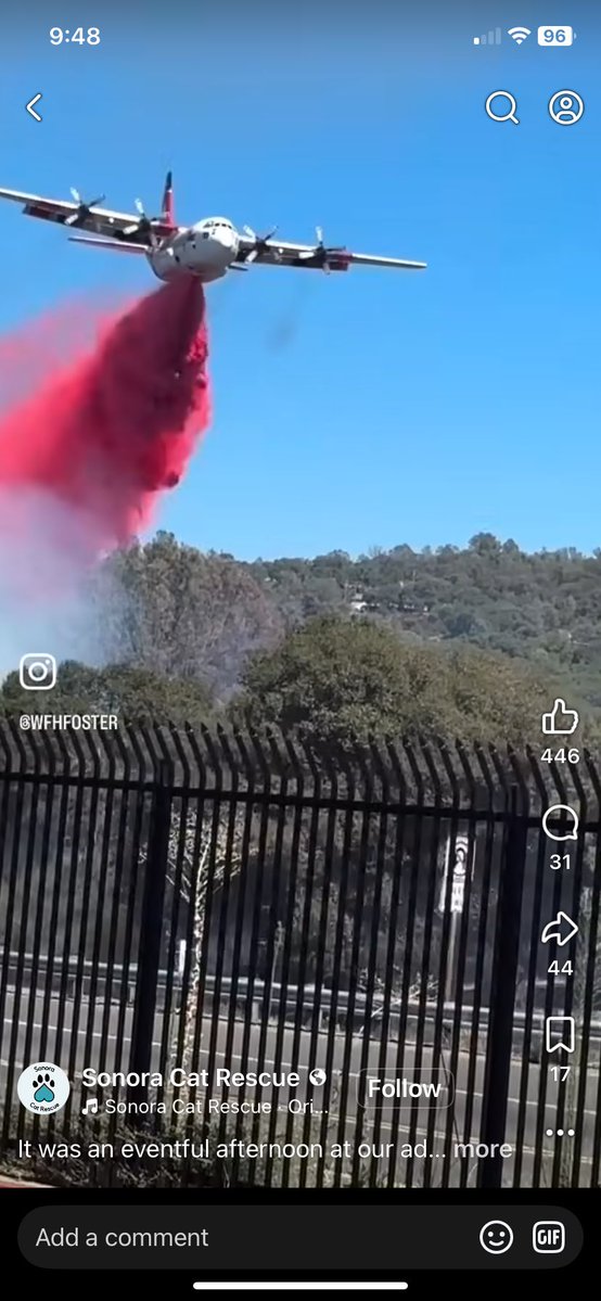 MagicDragonWolf's tweet photo. Hi friends! Mama here. Please keep us in your thoughts. We’ve had 3 wildfires in the last 24 hours here. 1st is at 225 acres and barely 20% containment which just happened tonight. The 2nd had evacuations 3 miles away and we were next, but we got lucky!🥺3rd controlled. #dogsofx https://t.co/21aUsORbah