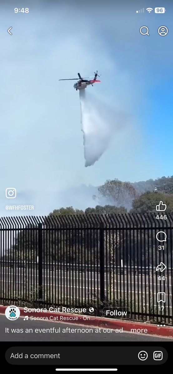 MagicDragonWolf's tweet photo. Hi friends! Mama here. Please keep us in your thoughts. We’ve had 3 wildfires in the last 24 hours here. 1st is at 225 acres and barely 20% containment which just happened tonight. The 2nd had evacuations 3 miles away and we were next, but we got lucky!🥺3rd controlled. #dogsofx https://t.co/21aUsORbah