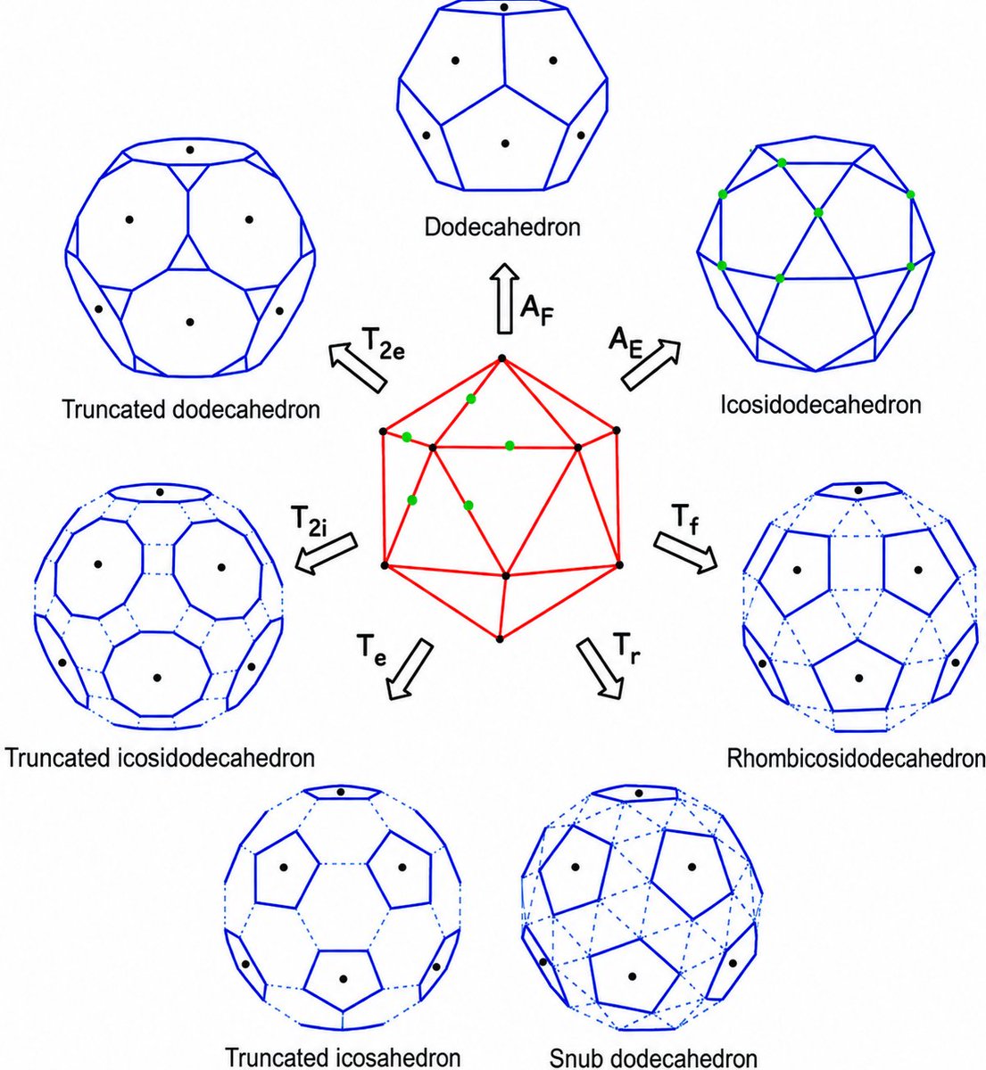 mathemetica's tweet photo. From one icosahedron, targeted edge, face and vertex operations under icosahedral symmetry produce the complete family of related Archimedean solids: 

- Dual yields the dodecahedron, 
- Rectification the icosidodecahedron, 
- Bitruncation the truncated dodecahedron and truncated icosahedron, 
- Cantellation the rhombicosidodecahedron, 
- Omnitruncation the truncated icosidodecahedron, and 
- Snubbing the chiral snub dodecahedron.

These same forms model the carbon cages of fullerenes such as C₆₀ and the protein shells of icosahedral viruses.