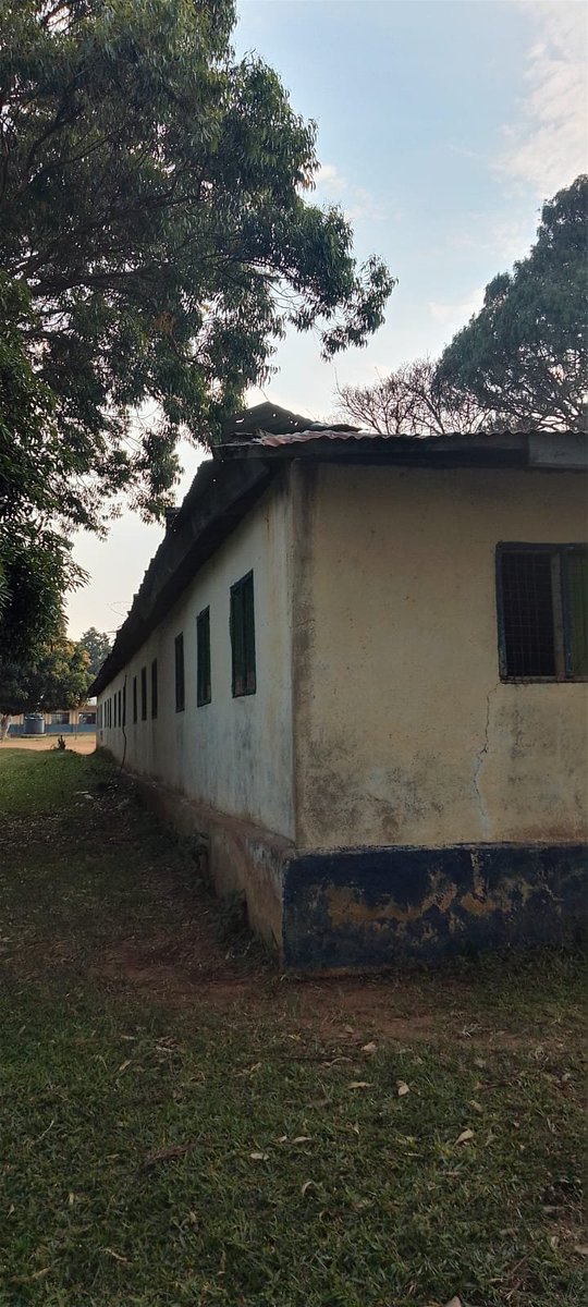 okoit253's tweet photo. Aedomoru primary school in teso North constituency Busia county is a going concern @EduMinKenya @tesonorthcon https://t.co/2e0wHQL5d1