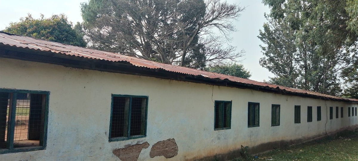 okoit253's tweet photo. Aedomoru primary school in teso North constituency Busia county is a going concern @EduMinKenya @tesonorthcon https://t.co/2e0wHQL5d1
