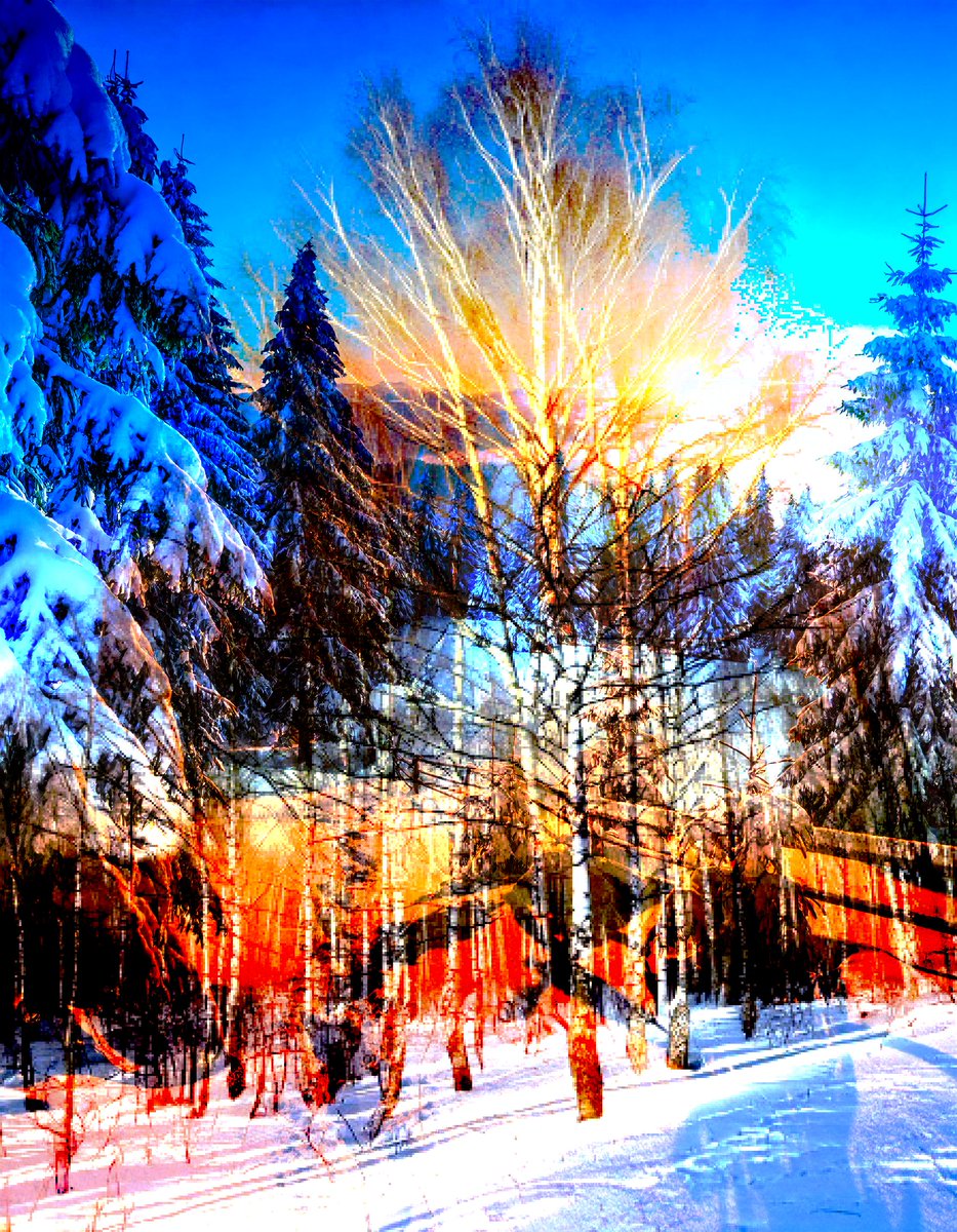 sanrotasu0216's tweet photo. Winter morning sun　Bình minh mùa đông　#AI #PS #Adobe https://t.co/op5SdeWEsy