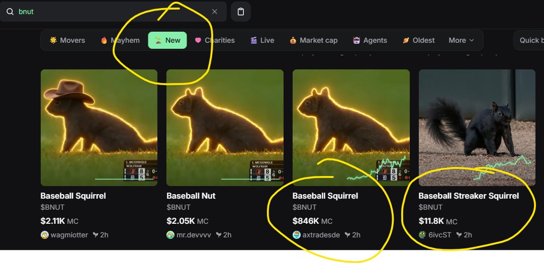Adugeneral23's tweet photo. @MemeRetire @Joyfullanand GM Legend. Did you see there was OG $Bnut 

23ZgEC2EUmR1HhLmSX1TCi33rfYaw6Hp2nvNdqt6pump

https://t.co/JMyKhATr8D https://t.co/FOSq9e9gS4