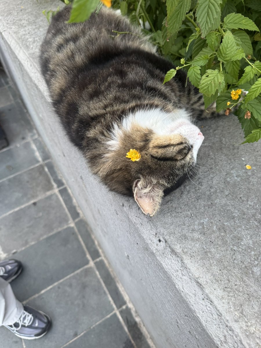 quazarsh's tweet photo. dünün güzellikleri https://t.co/DXDQ9q3zHR
