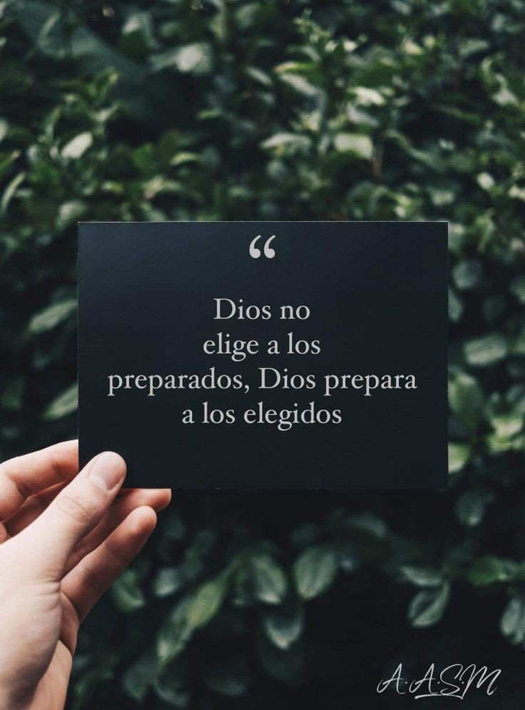 Bibliaenlinea's tweet photo. https://t.co/WDKoNAavpS