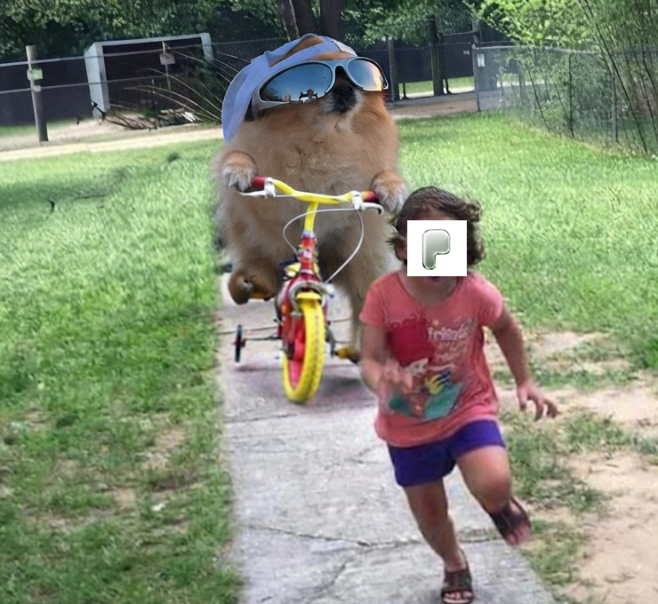 KORI tweet media