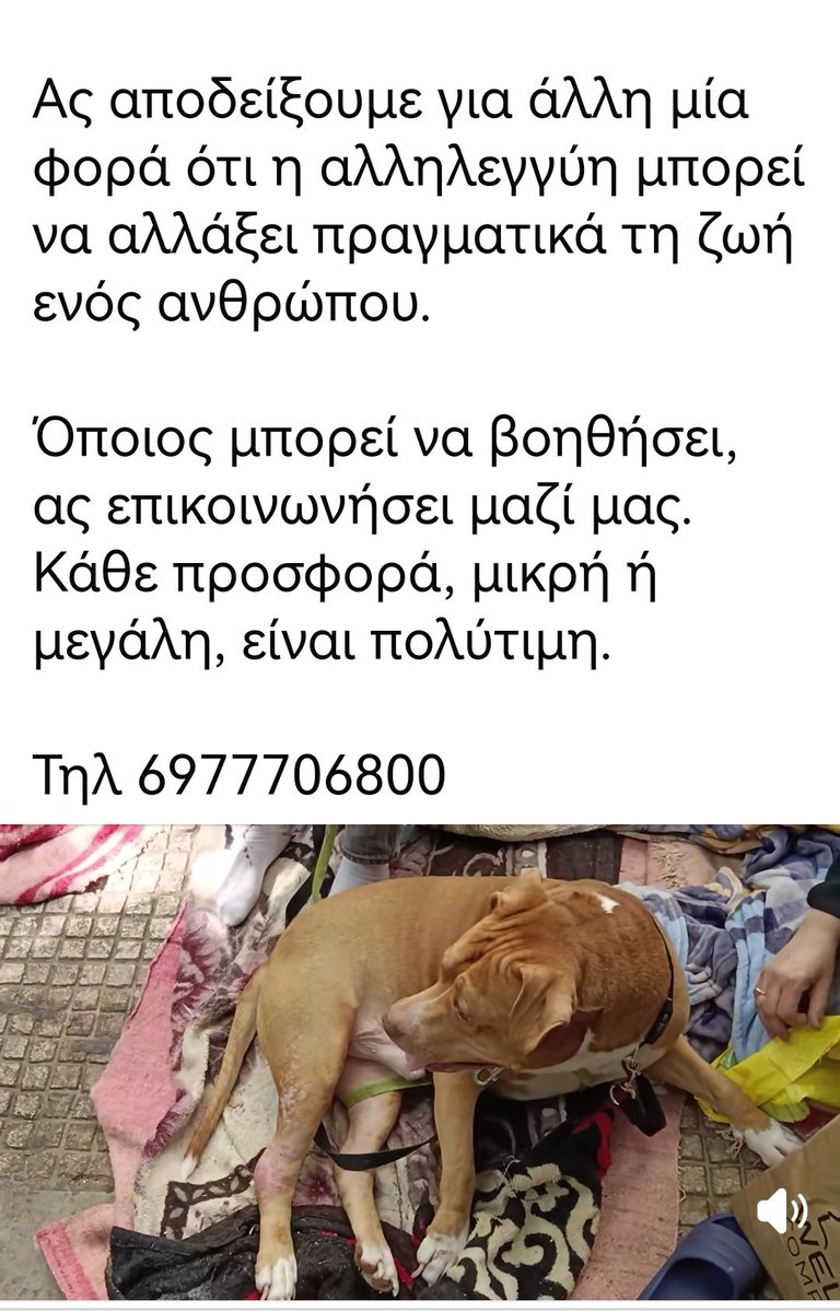 Christinalirou2's tweet photo. ‼️‼️‼️‼️‼️‼️‼️‼️‼️‼️‼️‼️‼️‼️‼️‼️‼️‼️
Ενημέρωση για την κυρία Δήμητρα που για μέρες ήταν στον δρόμο με τα δύο της σκυλάκια. Παιδιά βρέθηκε σπίτι κ οι εθελοντές την βοηθάνε στο να της το εξωπλησουν. Κάνουν έκκληση σε όλους μας με μια λίστα που χρειάζεται. Όσοι μπορείτε βοηθειστε https://t.co/FnX81RAuqN