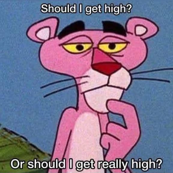 SJsMemes420's tweet photo. https://t.co/UCBMtIqMqm